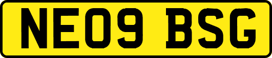 NE09BSG