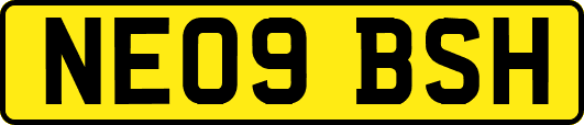 NE09BSH