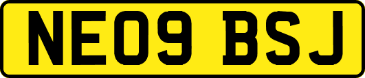 NE09BSJ