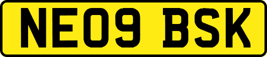NE09BSK