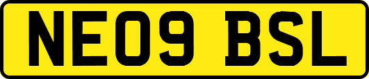 NE09BSL