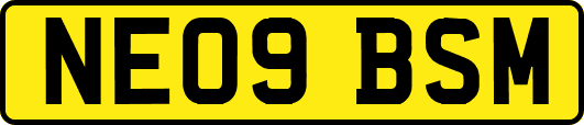 NE09BSM