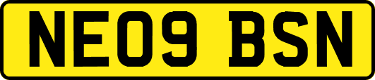 NE09BSN
