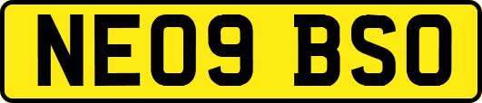 NE09BSO