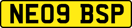NE09BSP