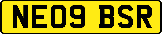 NE09BSR