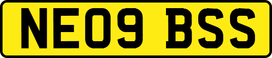 NE09BSS