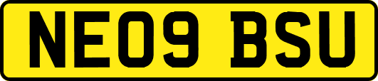 NE09BSU