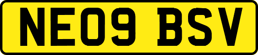 NE09BSV