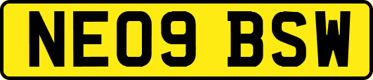 NE09BSW