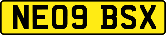 NE09BSX