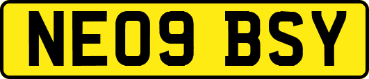 NE09BSY