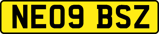 NE09BSZ