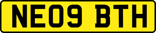 NE09BTH