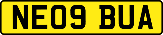 NE09BUA