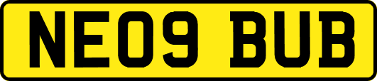 NE09BUB