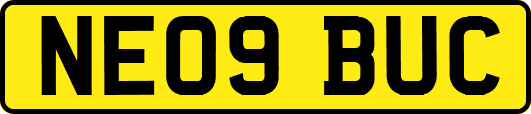 NE09BUC