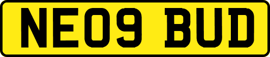 NE09BUD