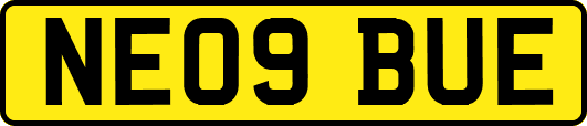 NE09BUE