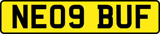 NE09BUF