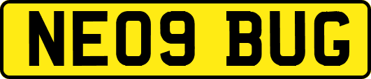 NE09BUG