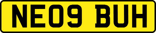 NE09BUH