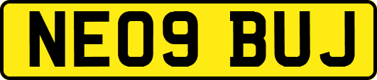 NE09BUJ