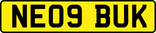NE09BUK