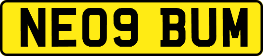 NE09BUM