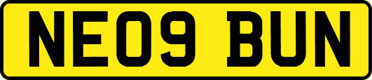 NE09BUN