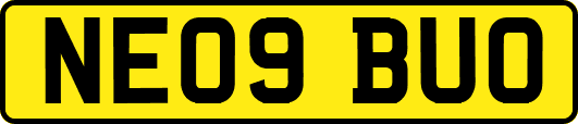 NE09BUO