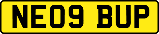 NE09BUP