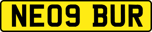 NE09BUR