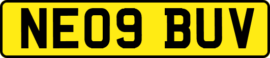 NE09BUV