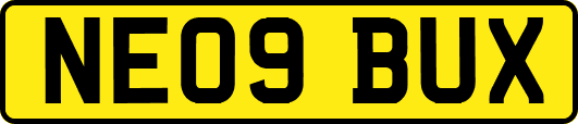 NE09BUX