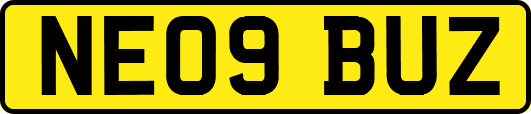 NE09BUZ