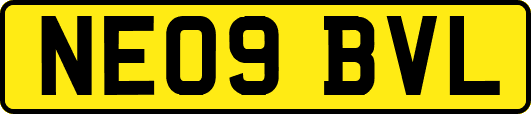 NE09BVL