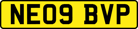 NE09BVP