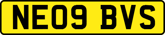 NE09BVS