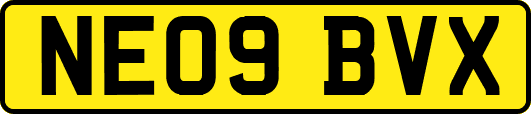 NE09BVX