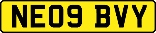 NE09BVY