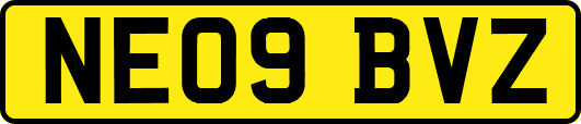 NE09BVZ