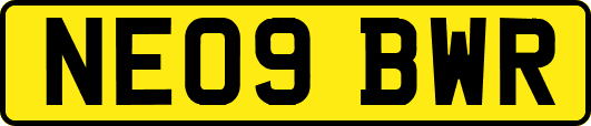 NE09BWR