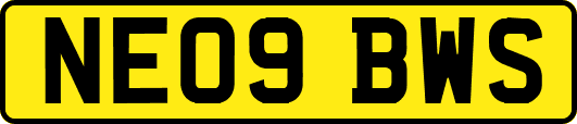 NE09BWS