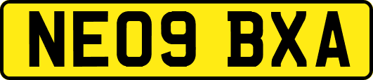 NE09BXA