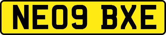 NE09BXE
