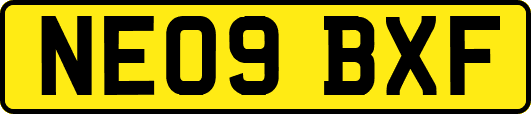 NE09BXF
