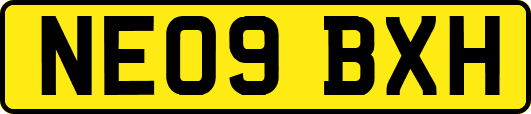 NE09BXH