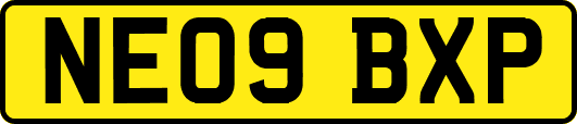 NE09BXP