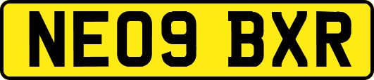 NE09BXR